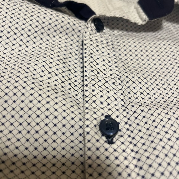 Zara Shirts Zara Man Slim Fit Large Size Whiteblue Button Down